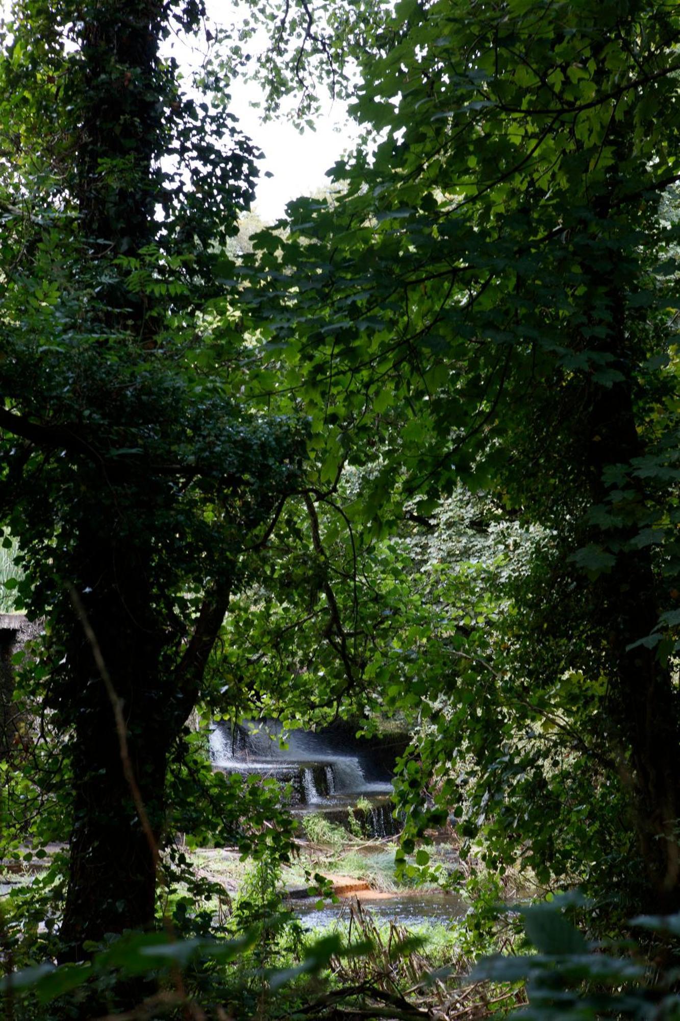 הוילה קורק Dripsey Castle Estate מראה חיצוני תמונה