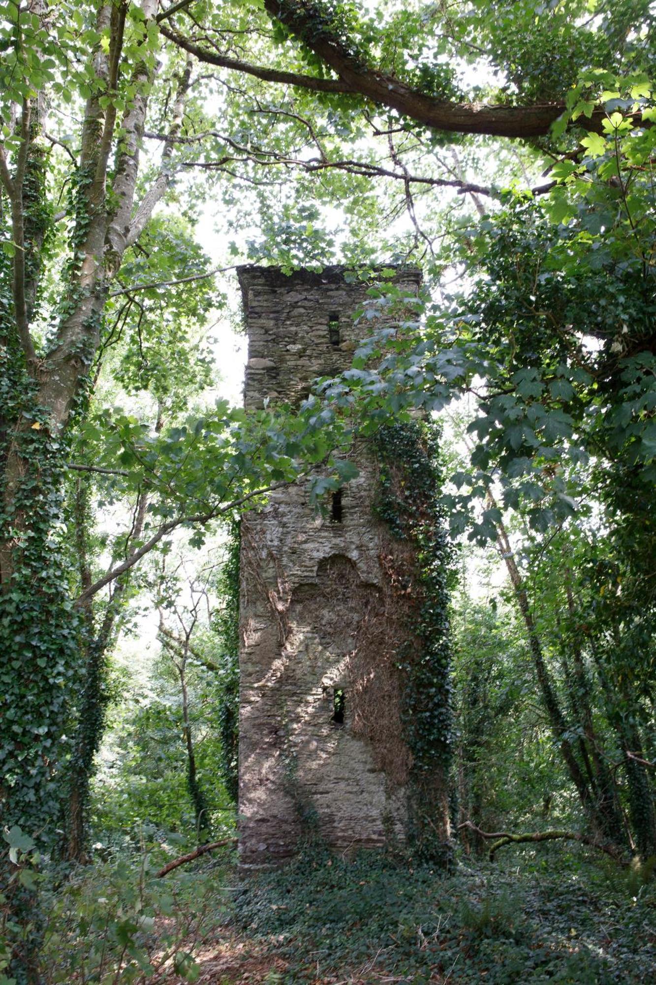 הוילה קורק Dripsey Castle Estate מראה חיצוני תמונה